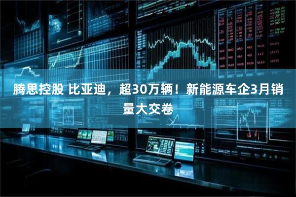 腾思控股 比亚迪，超30万辆！新能源车企3月销量大交卷