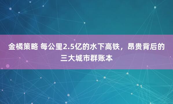 金橘策略 每公里2.5亿的水下高铁，昂贵背后的三大城市群账本